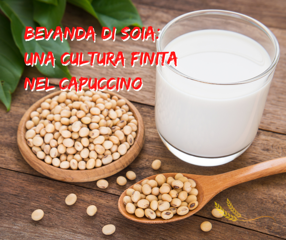 bevanda di soia