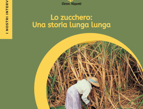 Lo zucchero: una storia lunga lunga