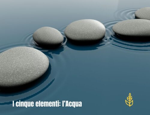 Cinque elementi: l’Acqua
