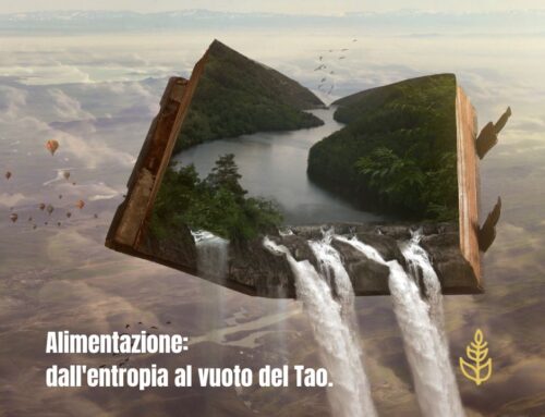Alimentazione: dall’entropia al vuoto del Tao