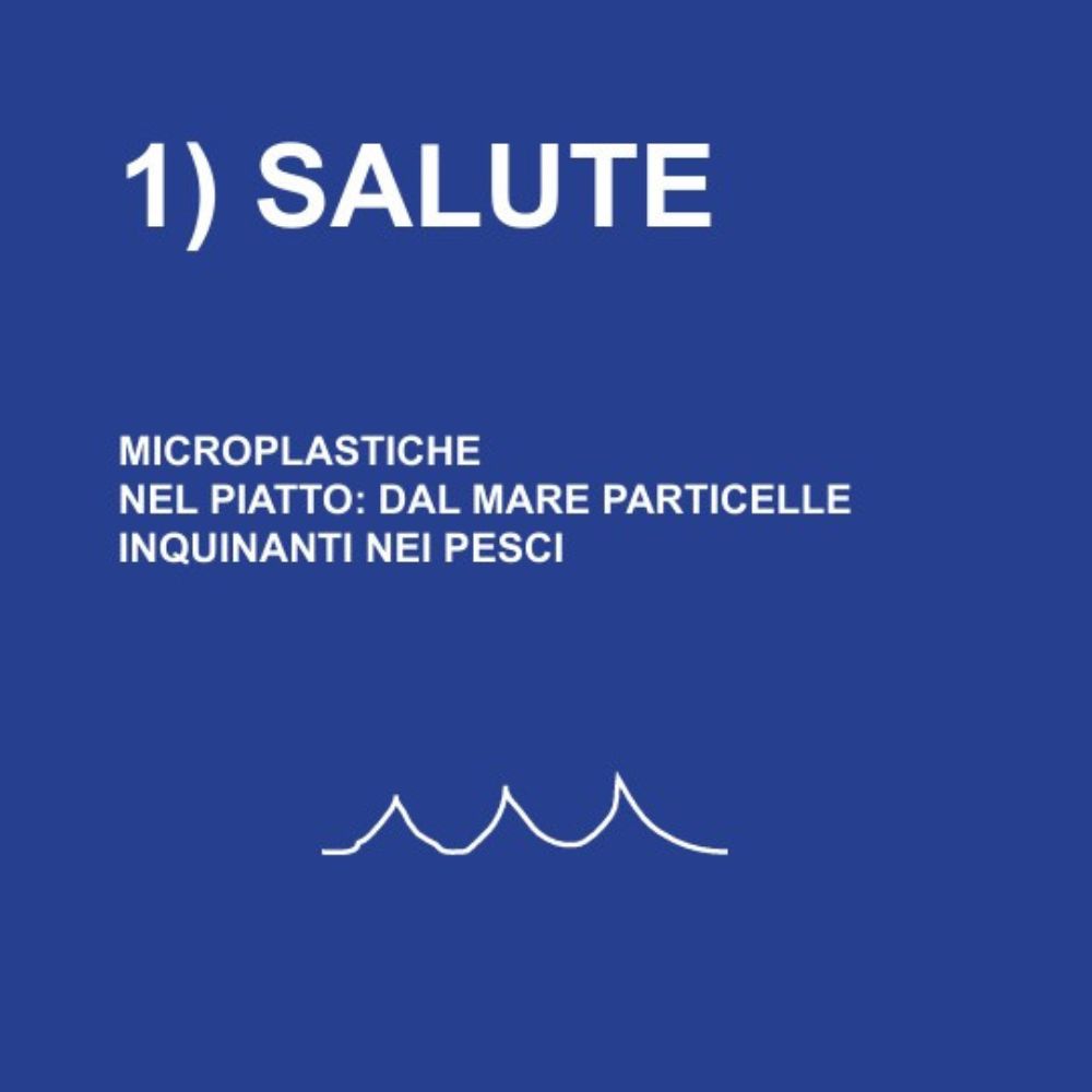 Le Vettovaglie Mag. - Gennaio 2025 - immagine 2