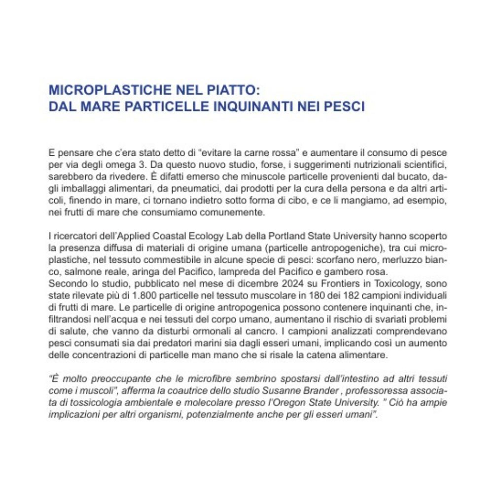 Le Vettovaglie Mag. - Gennaio 2025 - immagine 3