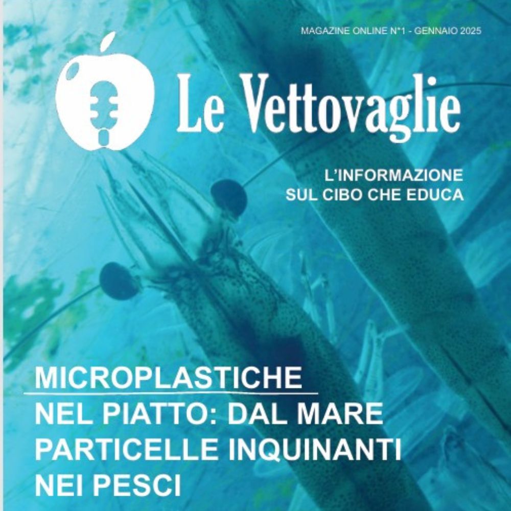 Le Vettovaglie Mag. - Gennaio 2025