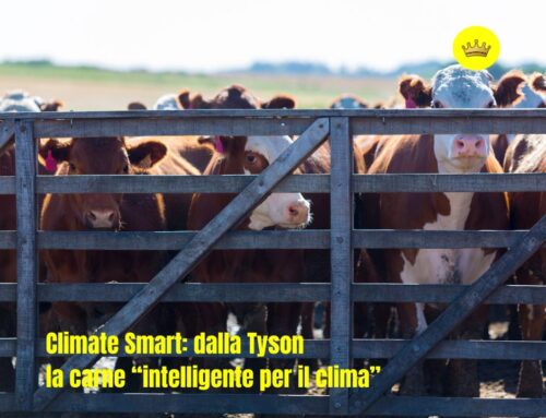 Climate Smart: dalla Tyson la carne “intelligente per il clima”