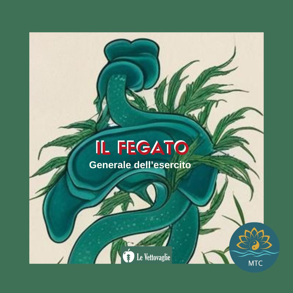 Il Fegato: Generale dell'Esercito e Ministro del corpo di armata