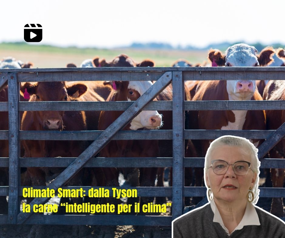 Dalla Tyson Foods la carne sostenibile