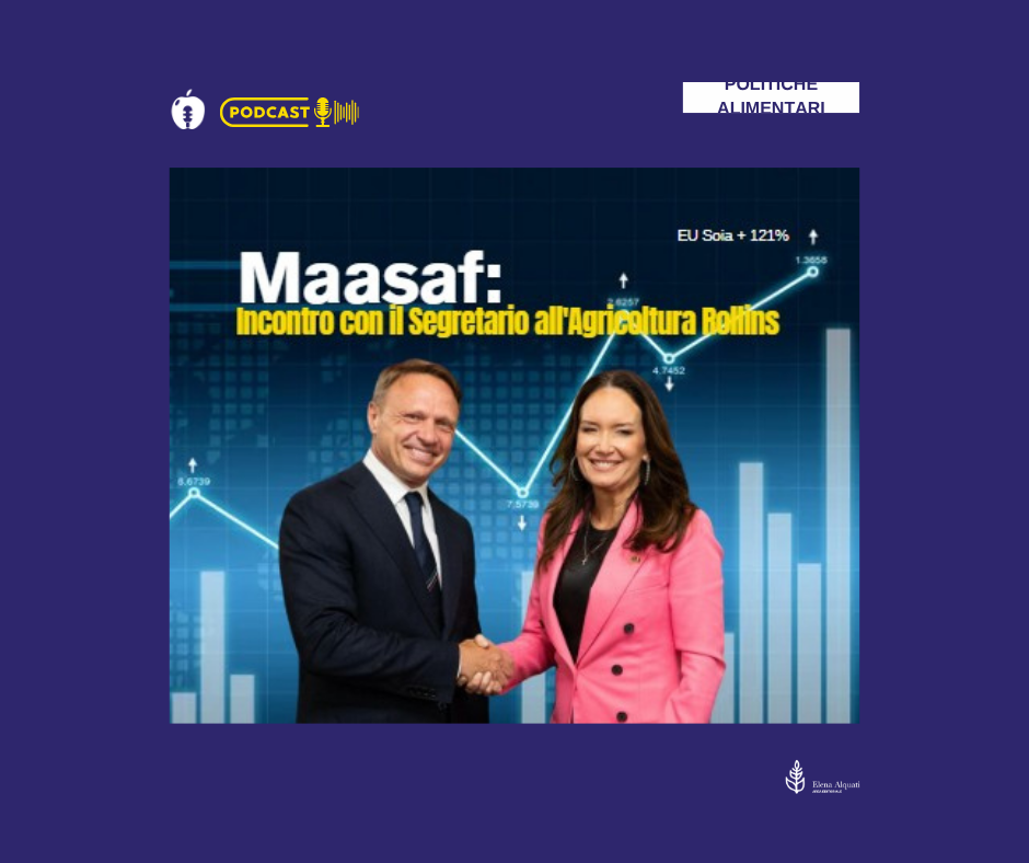 Maasaf: Incontro Italia USA