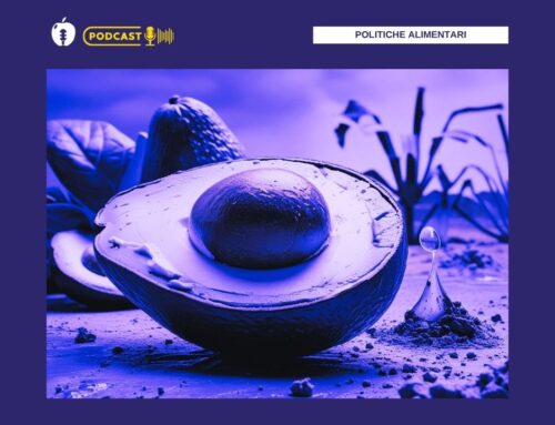 Il lato oscuro dell’avocado – podcast