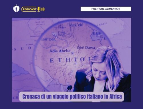 Cronaca di un viaggio politico in Africa – il podcast