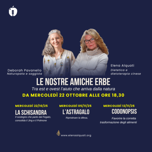 Le nostre amiche erbe - I 3 incontri