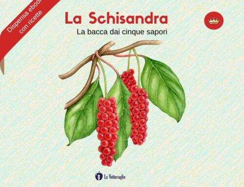 La Schisandra – La bacca dai cinque sapori