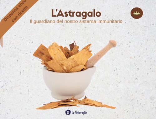 L’Astragalo – Il guardiano delle difese immunitarie