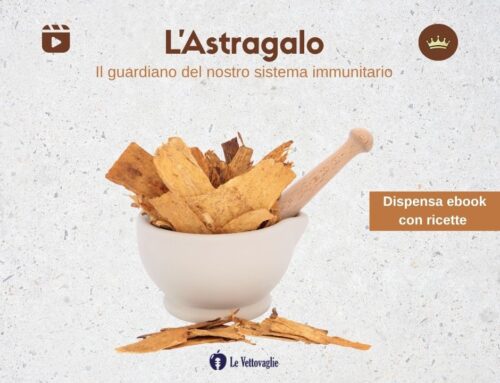 L’Astragalo – Il guardiano del nostro sistema immunitario – il video
