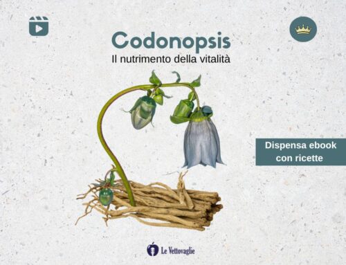 Codonopsis – Il nutrimento della vitalità – Il video