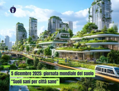 Giornata mondiale del suolo: Suoli sani per città sane